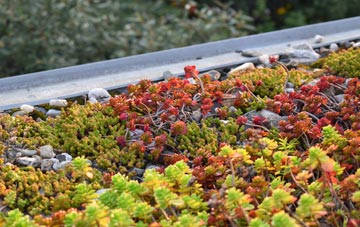 the cost of Bourne Valley green roof installation