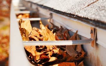 Bourne Valley gutter cleaning companies