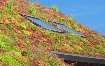 Bourne Valley living roof systems