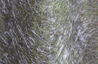 Bourne Valley fibreglass roof work